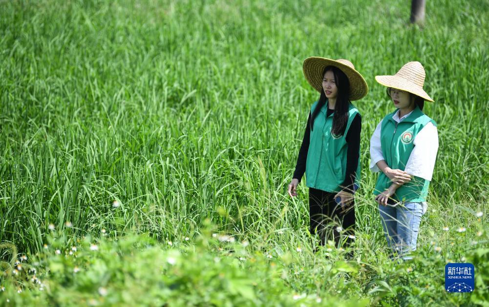 网上真人赌博公司